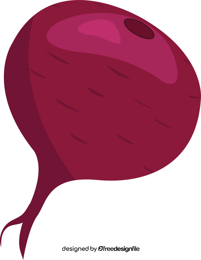 Beet clipart