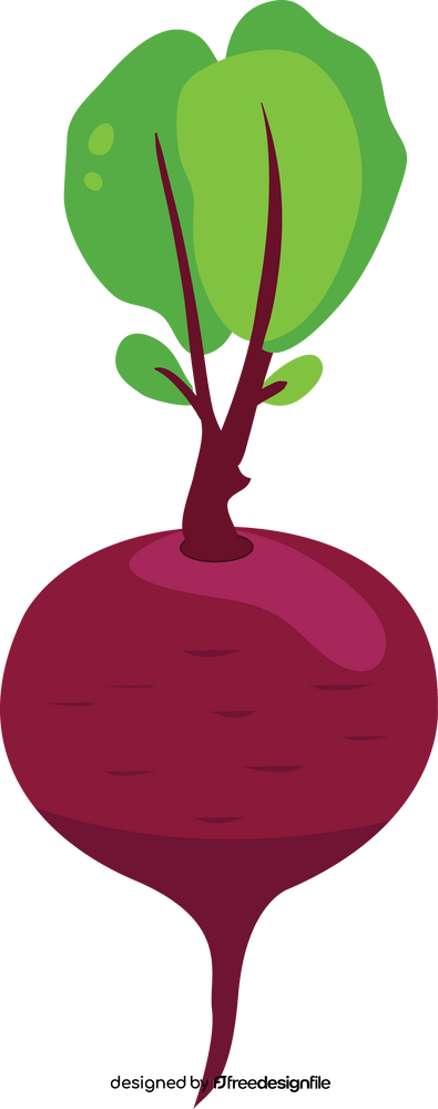 Beet clipart