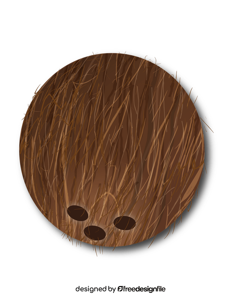 Coconut clipart