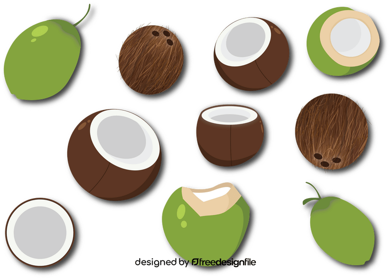 Coconut vector