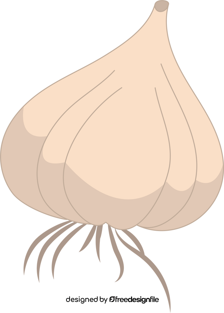 Garlic clipart