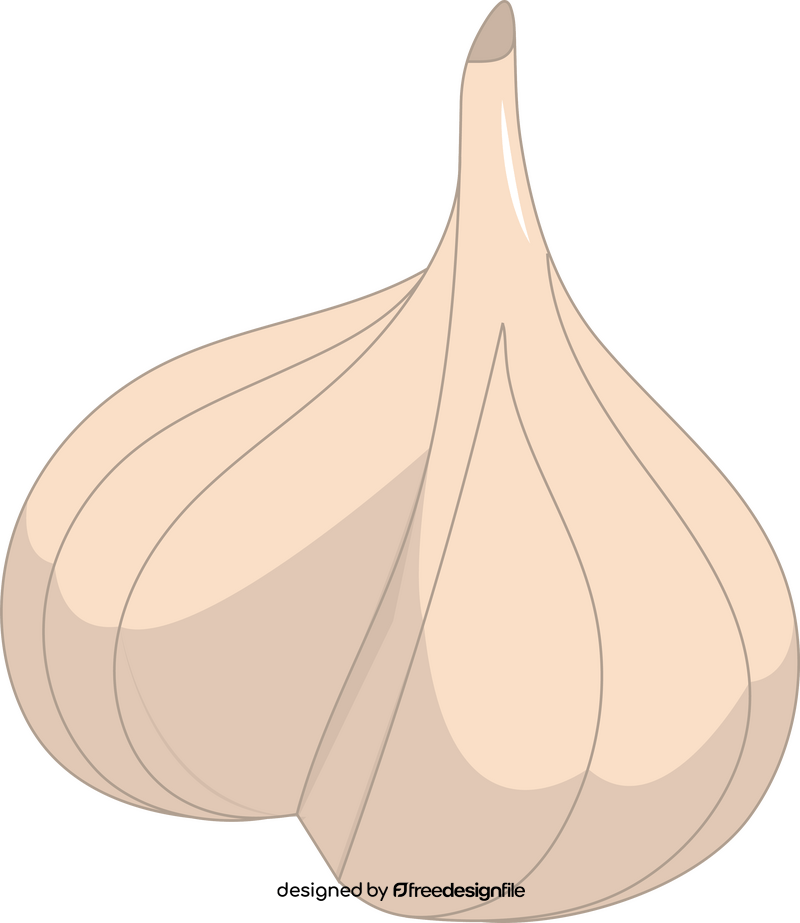 Garlic clipart