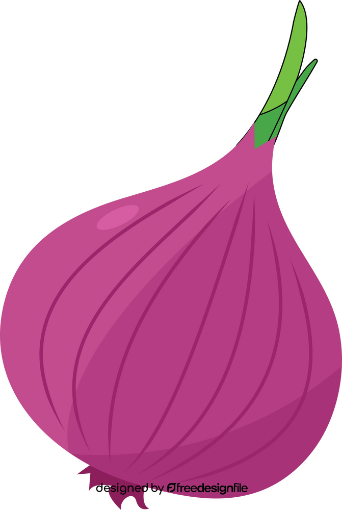 Red Onion clipart