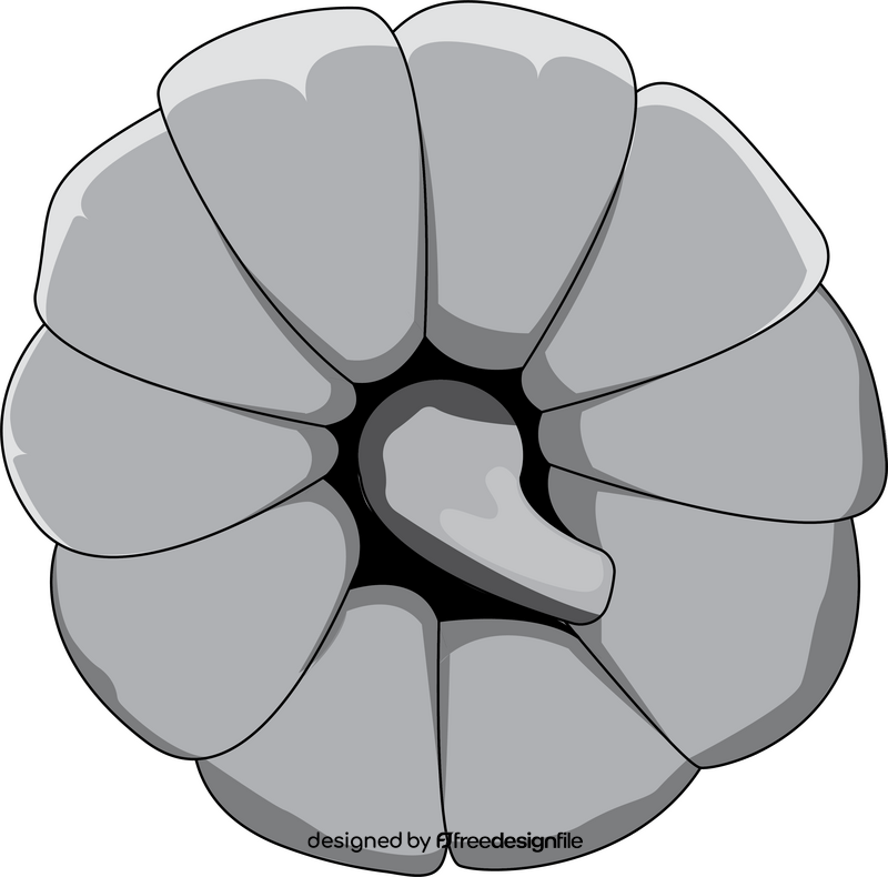 Pumpkin in Grayscale clipart