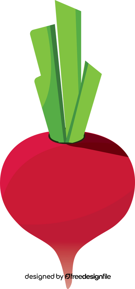 Radish clipart