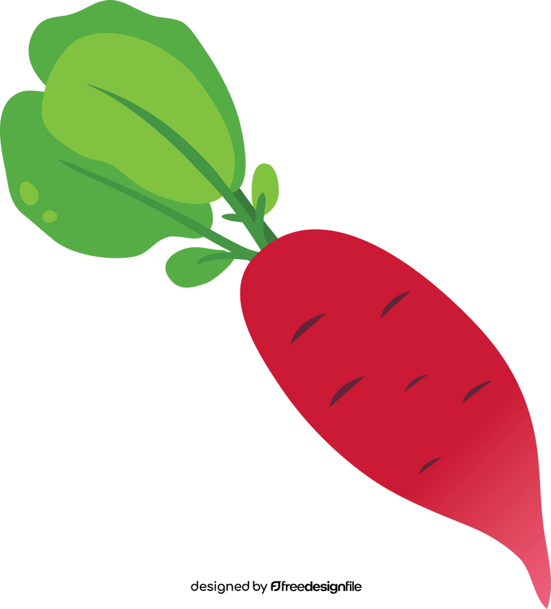 Radish with Leaves clipart