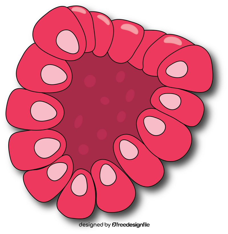 Cut in Half Raspberry clipart