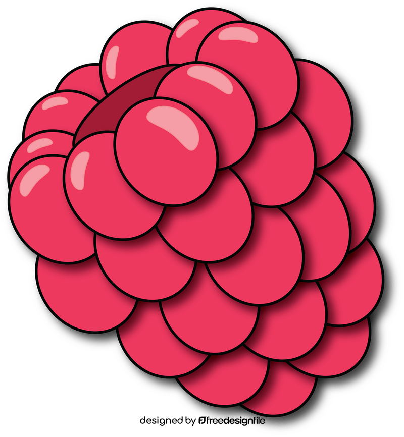 Raspberry clipart