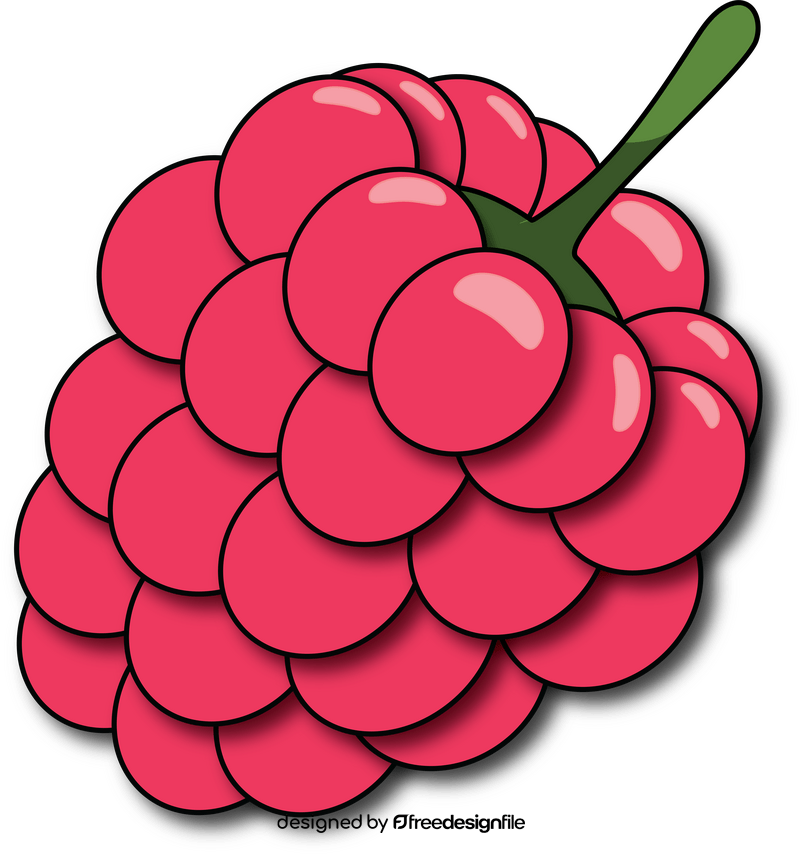 Raspberry clipart