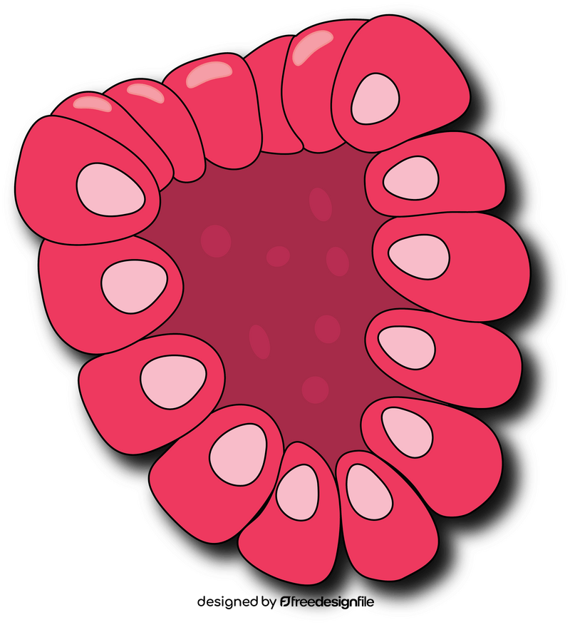 Sliced in Half Raspberry clipart