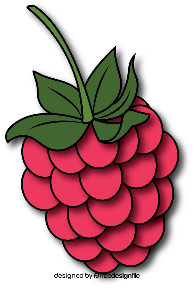 Raspberry clipart