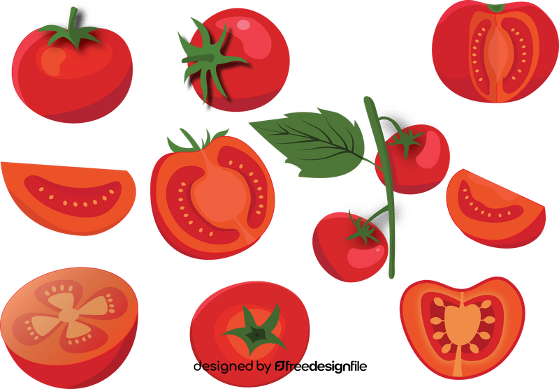 Tomato vector