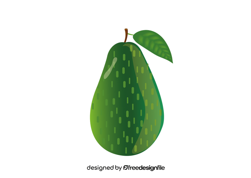 Avocado clipart