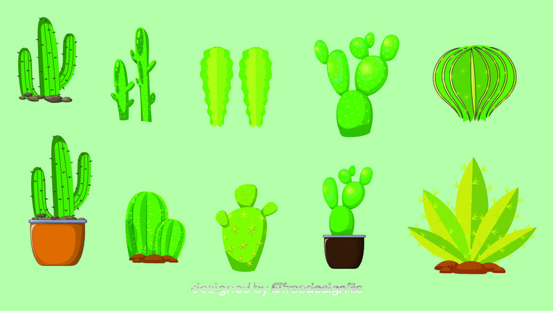 Cactus vector