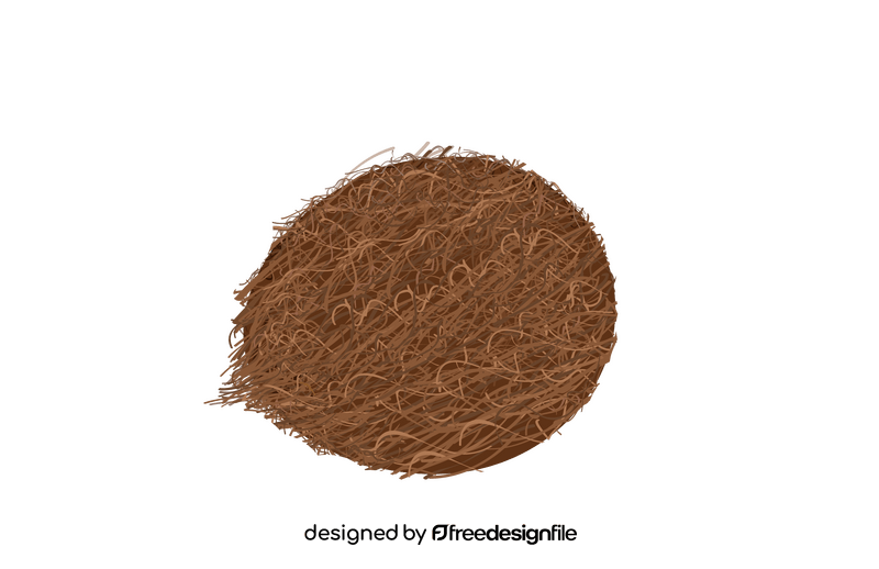 Coconut clipart