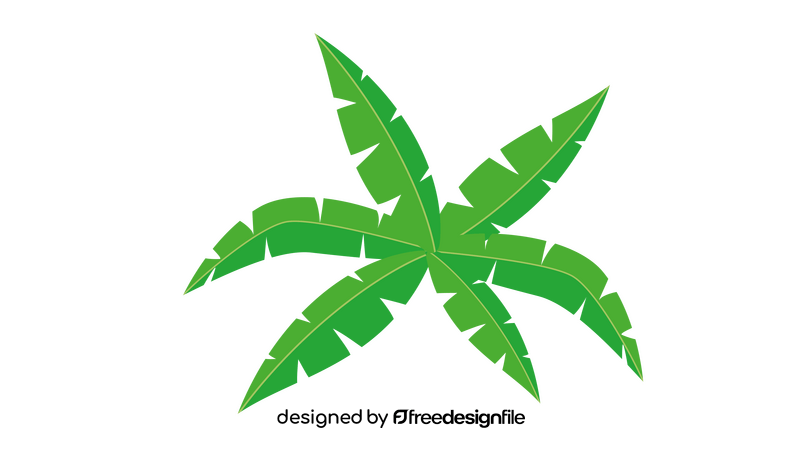 Coconut Plant Leaves clipart