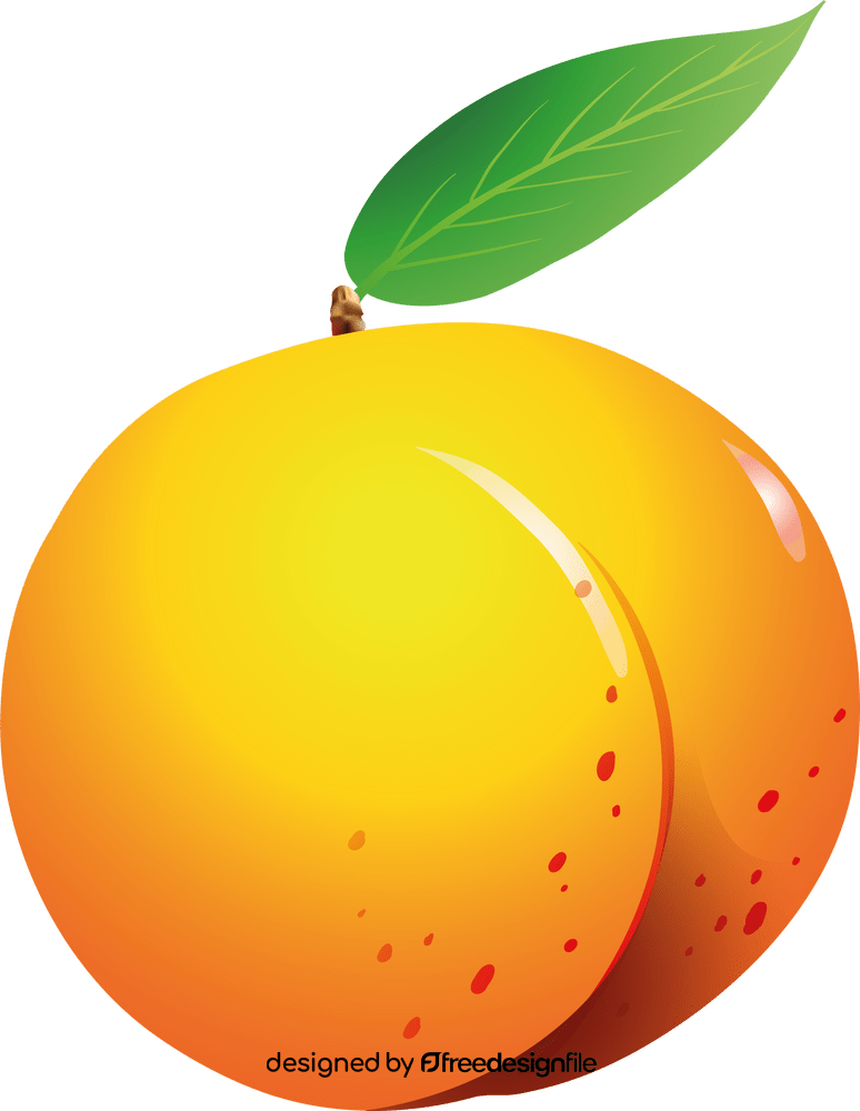 Peach clipart