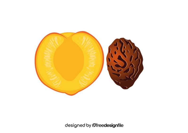 Half of Peach and its Endocarp clipart