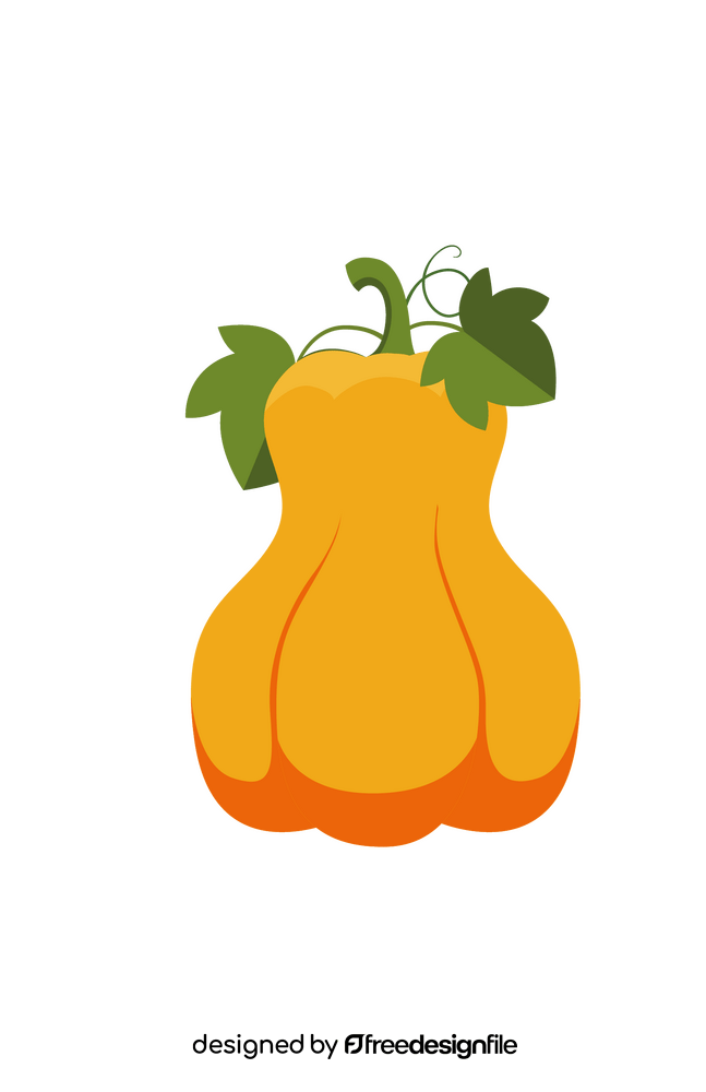 Butternut Pumpkin clipart