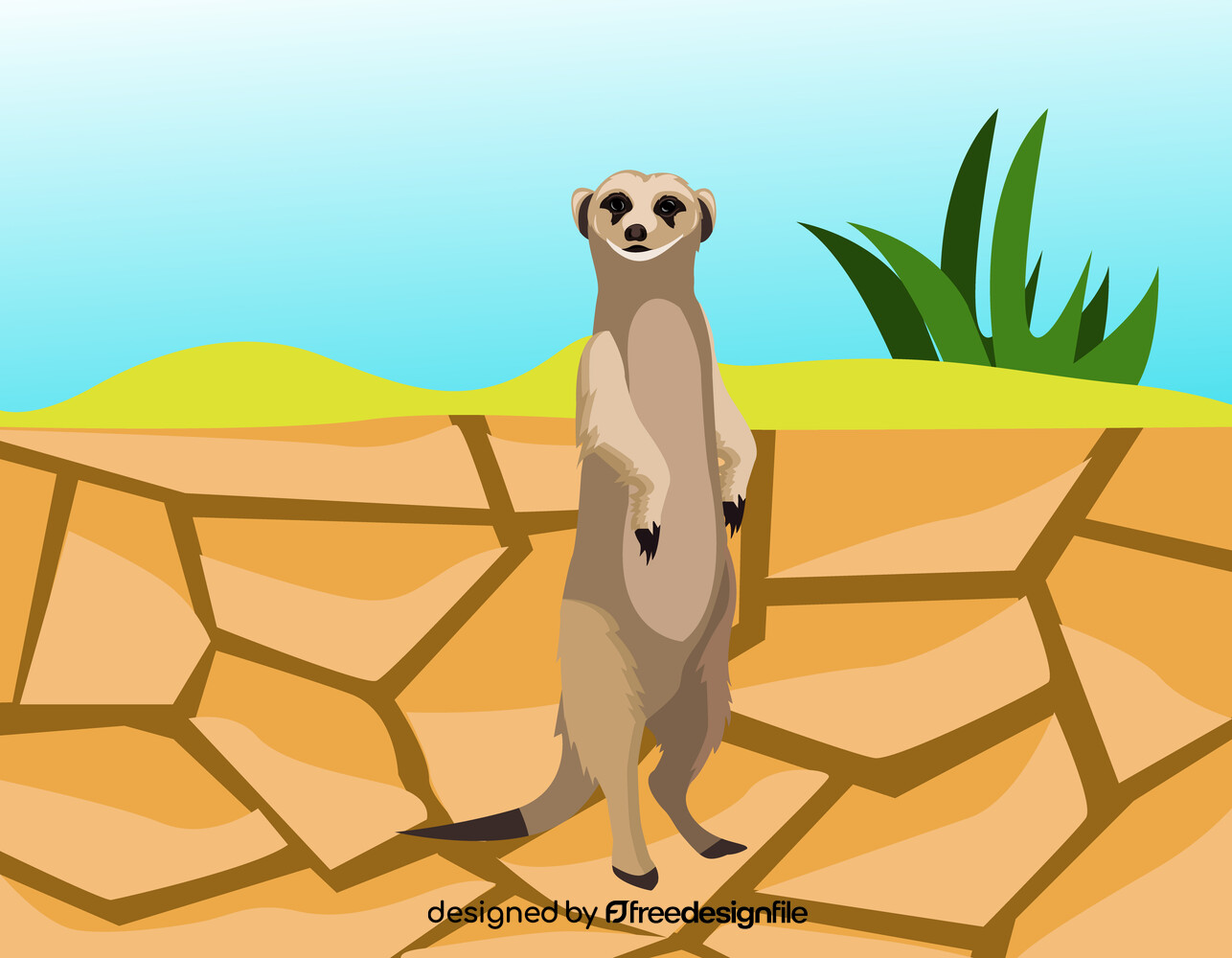 Meerkat vector image