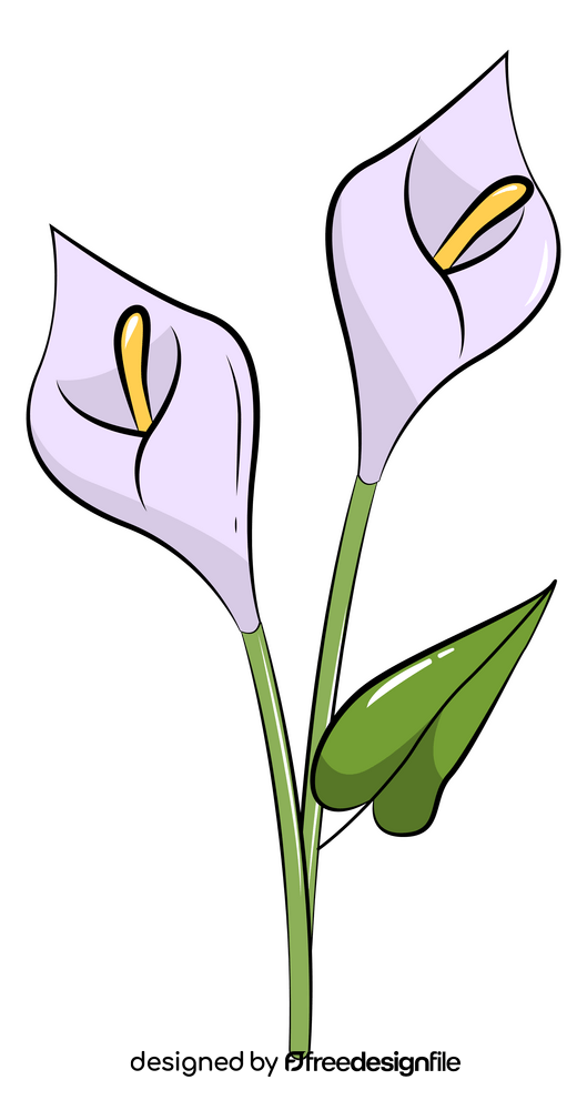 Calla lily clipart