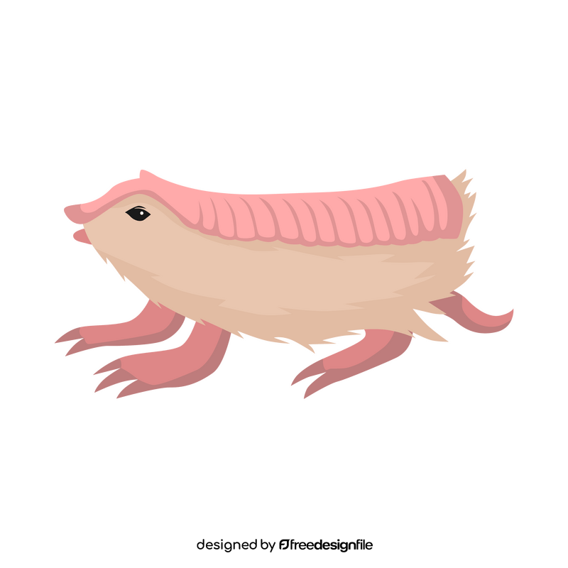 Pink fairy armadillo clipart