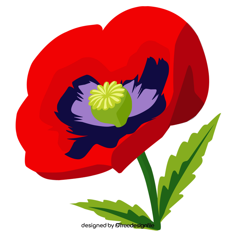 Poppy flower clipart