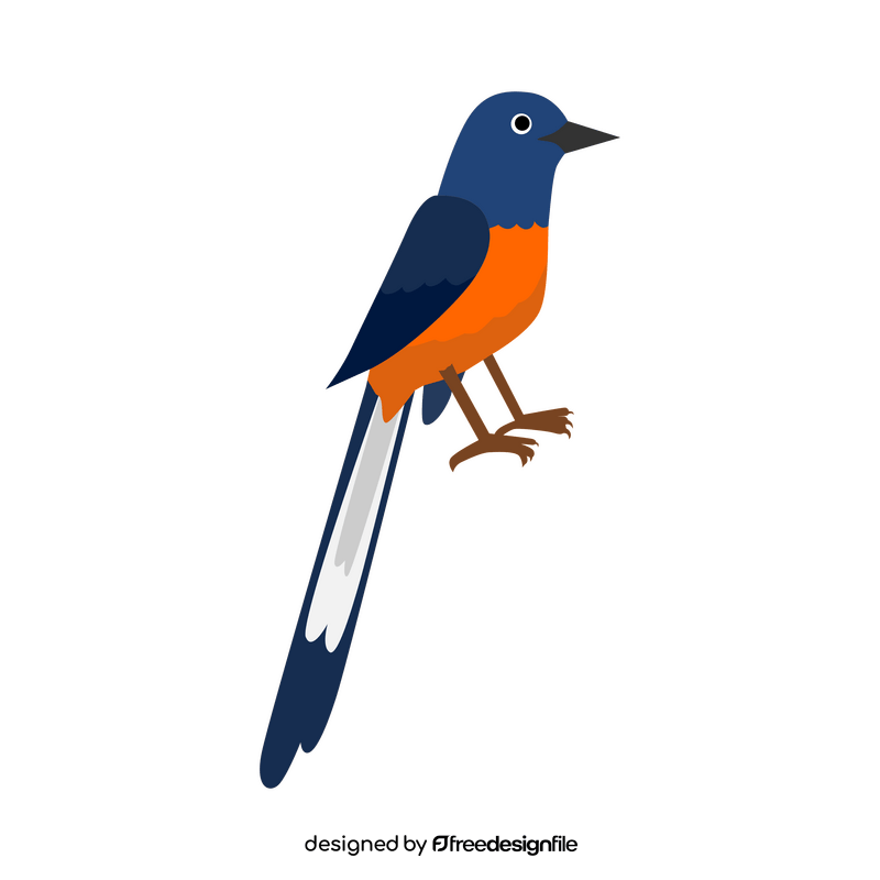 White rumped shama bird clipart