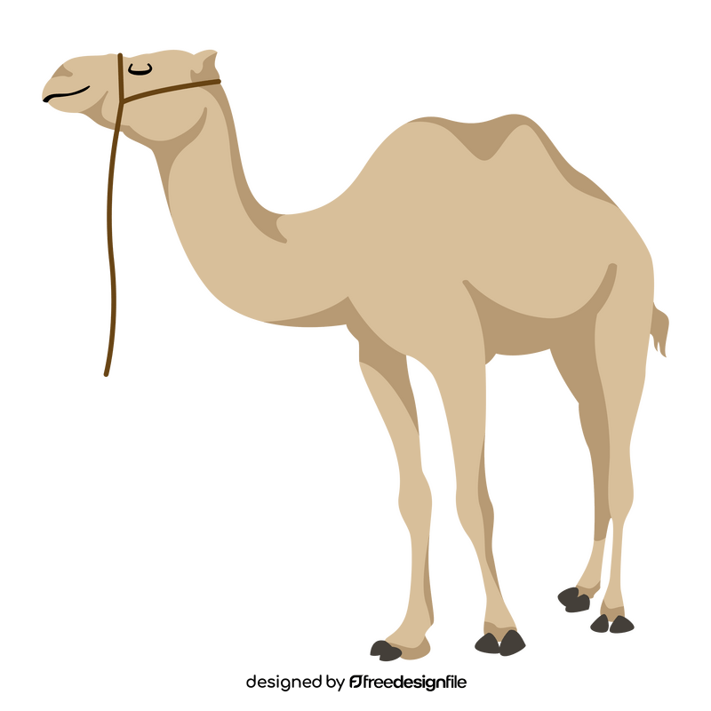 Camel clipart