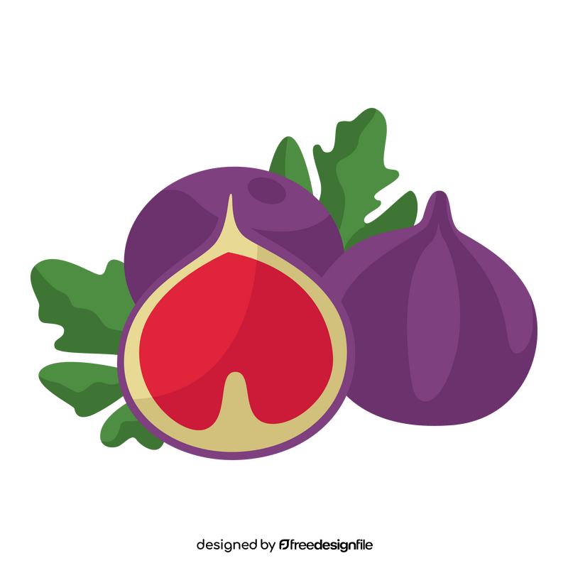 Fig fruit clipart