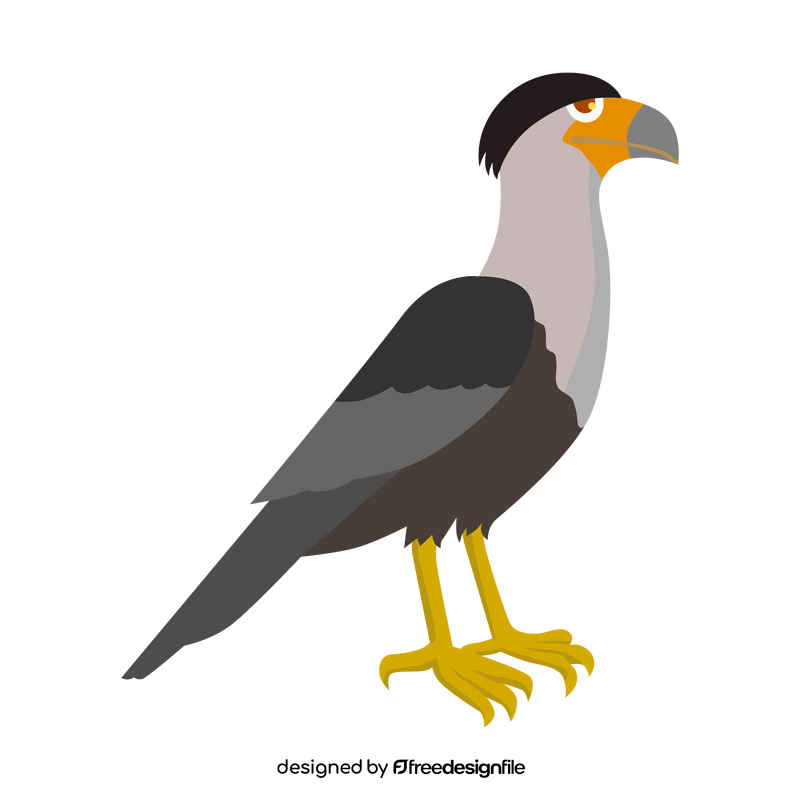 Northern crested caracara bird clipart