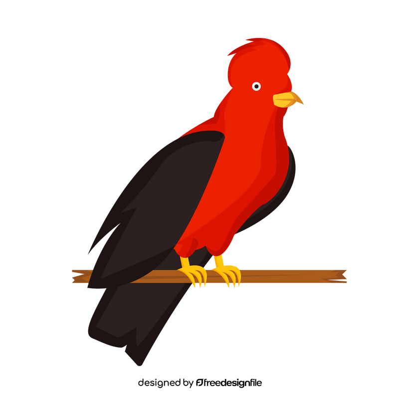 Andean cock of the rock clipart