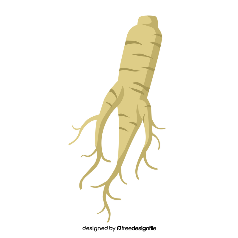 Ginseng clipart