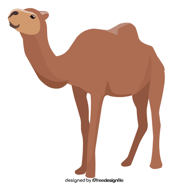 Asia camel clipart