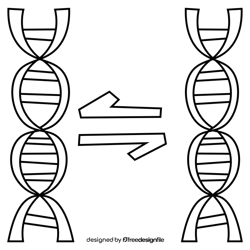 Science dna black and white clipart