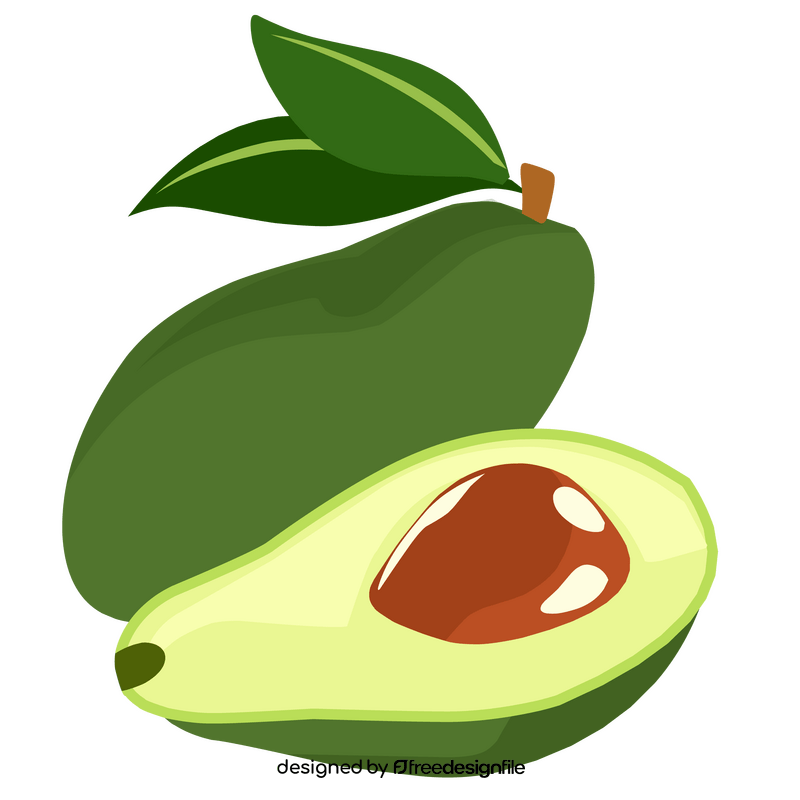 Avocado healthy vegetable clipart