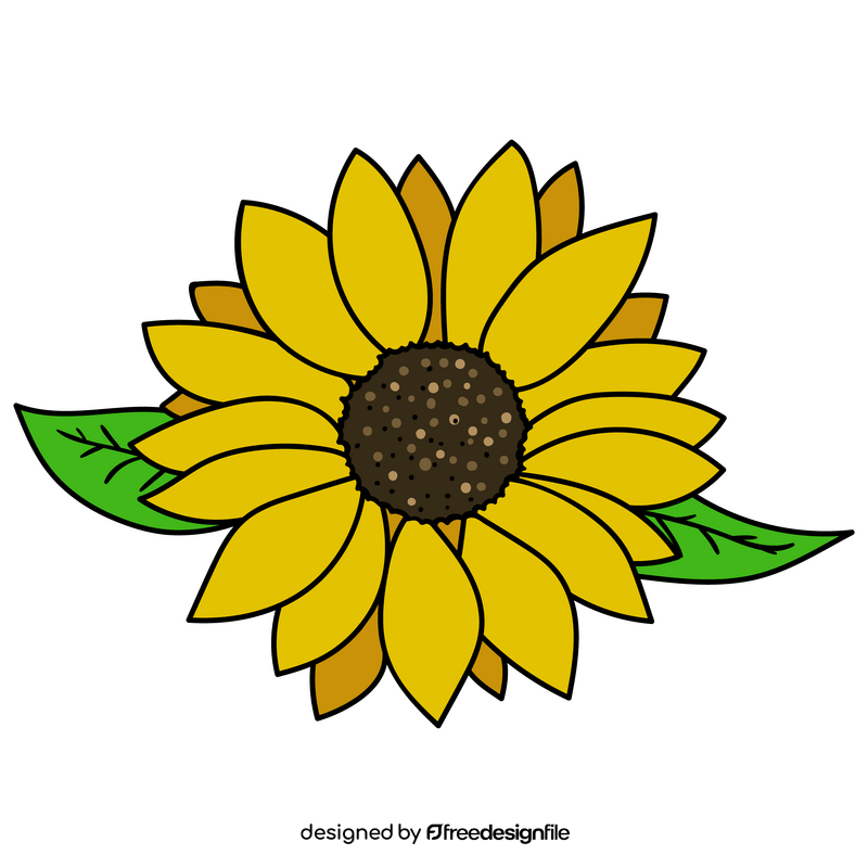 Sunflower drawing clipart