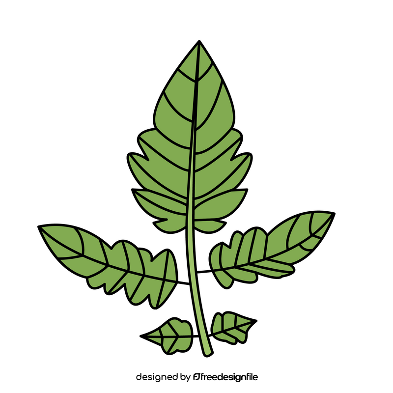 Tomato leaf clipart