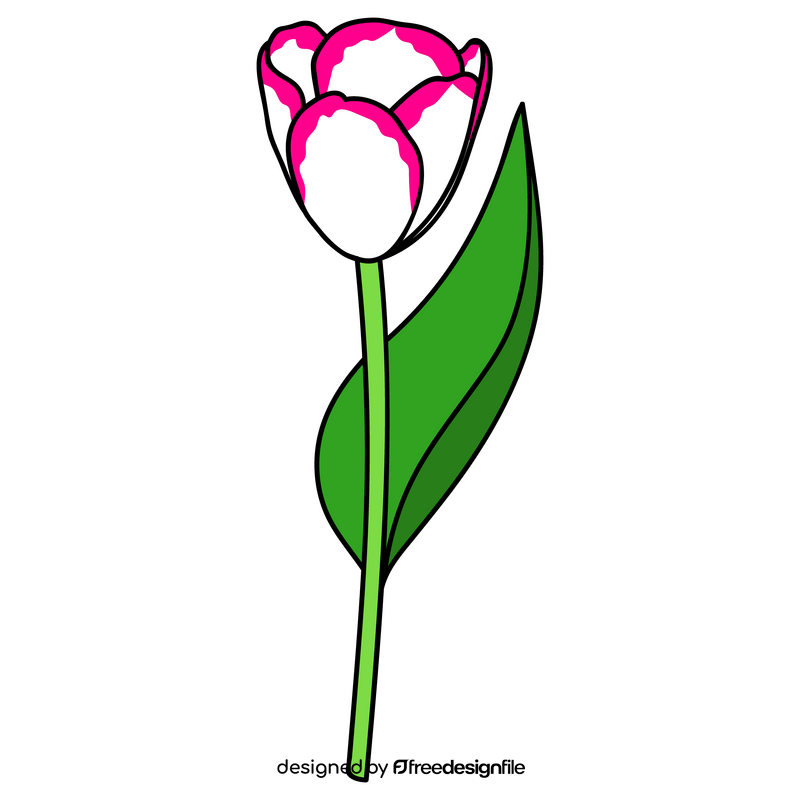 Affaire Triumph Tulip clipart