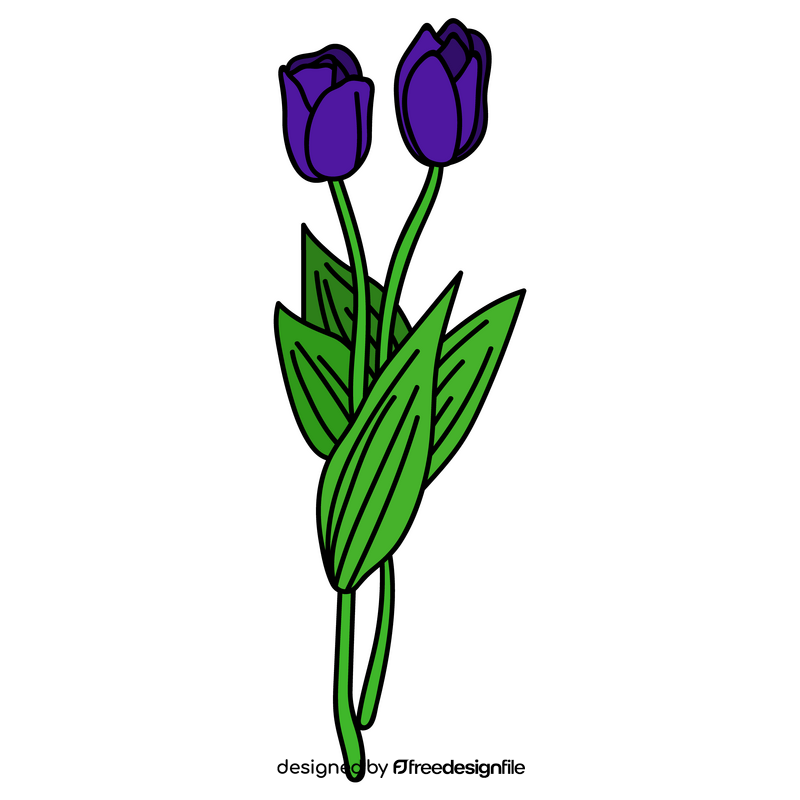 Tulip purple clipart