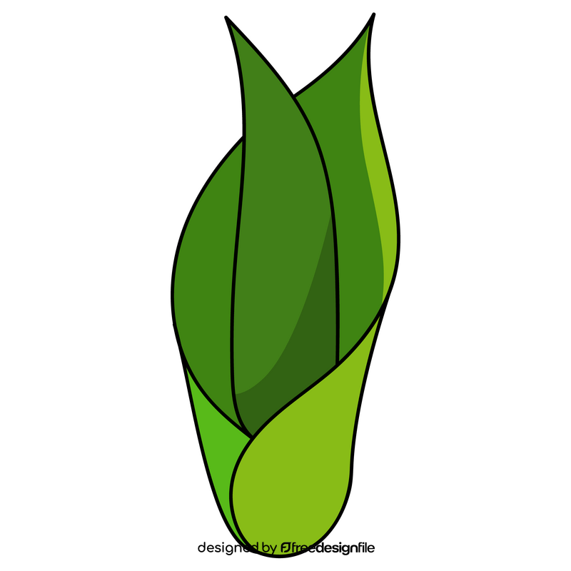 Tulip plant clipart