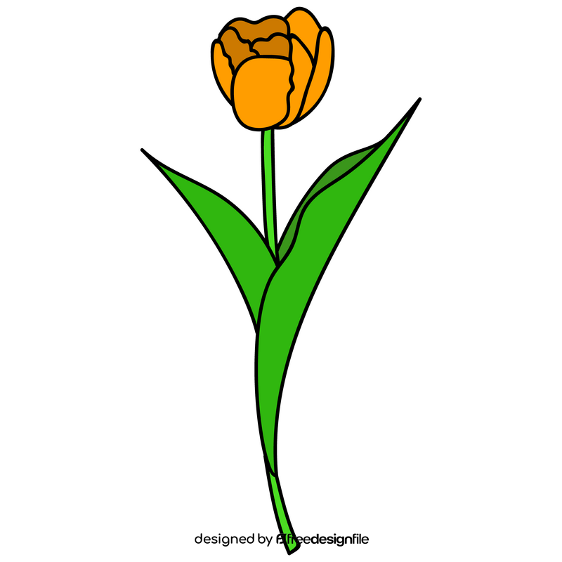 Yellow tulip flower clipart