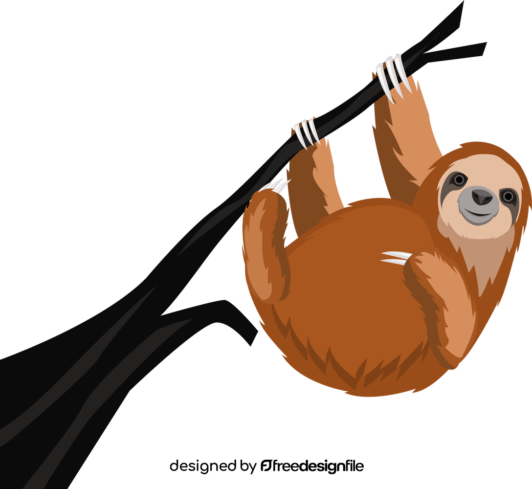 Cute sloth clipart