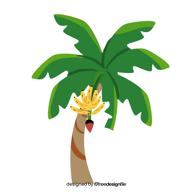 Tropical Banana Palm Tree clipart