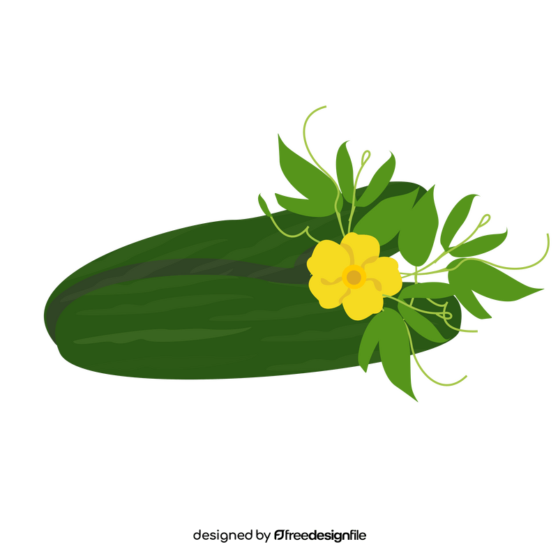 Cucumber clipart