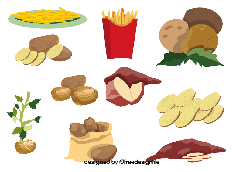 Potatos vector