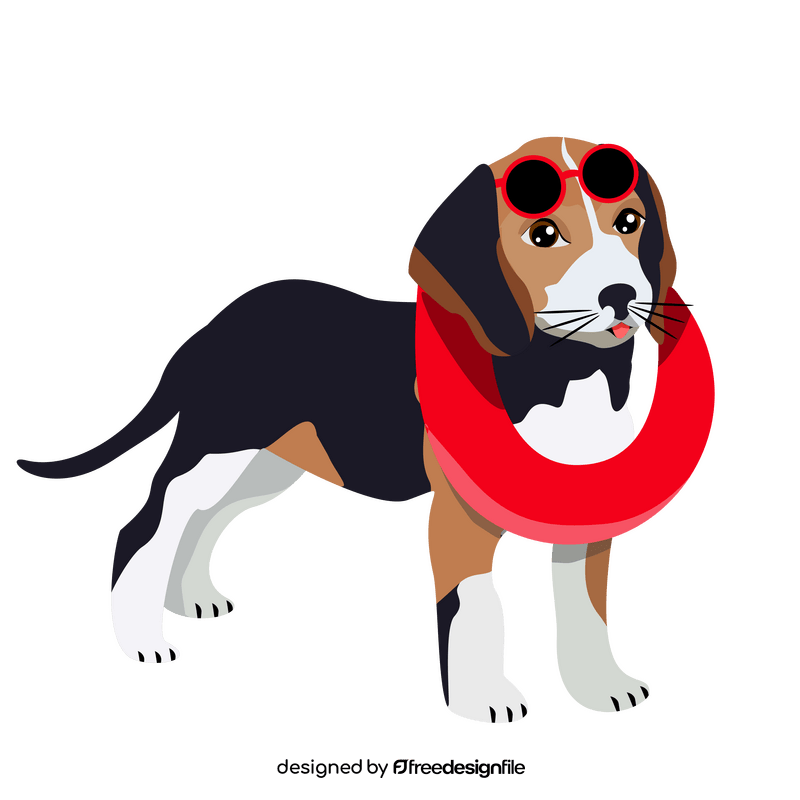 Beagle dog at the beach clipart