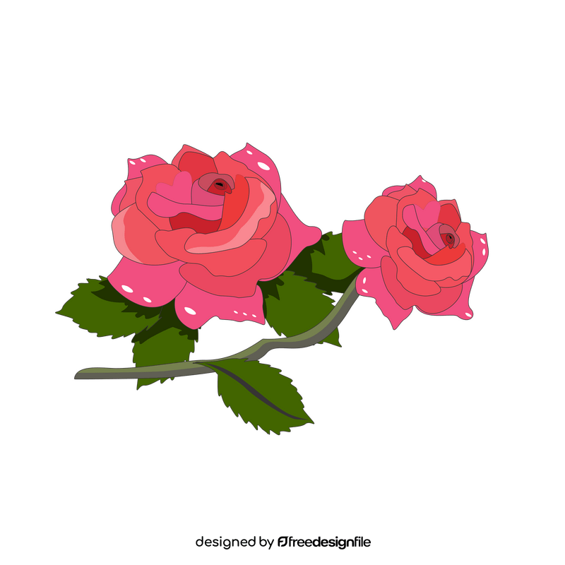 Pink roses drawing clipart