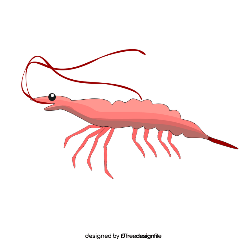 Shrimp cartoon clipart