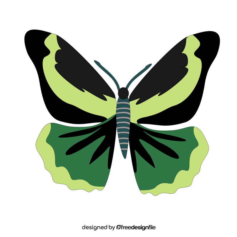 Black and green butterfly illustration clipart